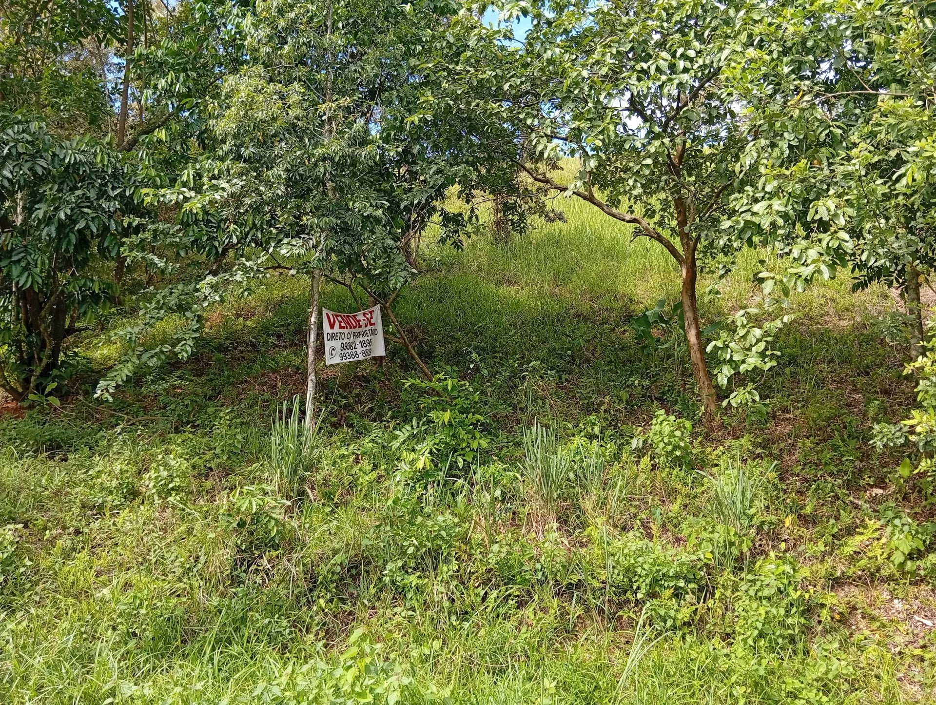 Terreno no bairro da Cotia, Guapimirim